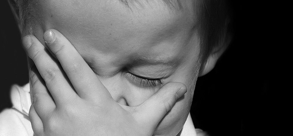 Sgridare o lasciare perdere? Terrible Two e sopravvivenza